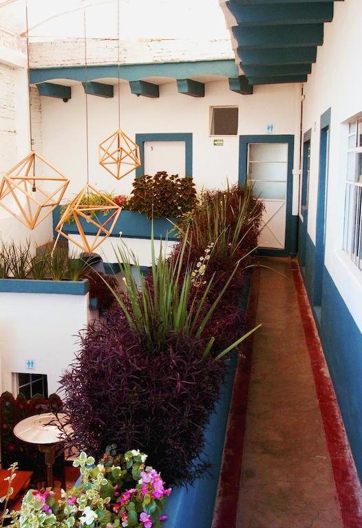 Hostel Blue Bicycle House Querétaro Zewnętrze zdjęcie